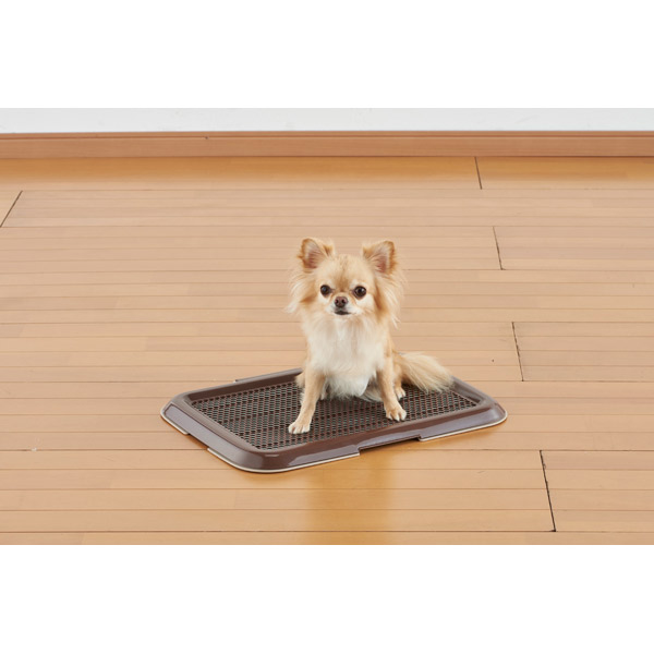 贈答品 ボンビアルコン 薄型しつけるトレーs ブラウン 犬 トイレ トレー トレイ 容器 メッシュ しつけ マナー Whitesforracialequity Org