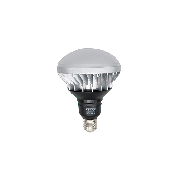 【メーカー直送】WING ACE LED投光器 銀河2 替電球 50W LED-W50-2 投光器