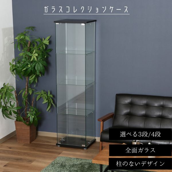 楽天市場】収納家具 ガラスコレクションケース 3段 ロータイプ クリア