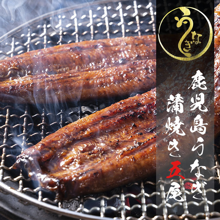 国産 鹿児島 うなぎ蒲焼 約186g×5尾 (50尾サイズ×5尾) 無頭 タレ 山椒付き 冷凍便 送料無料 産直 産地直送 ギフト 贈答 鰻 ウナギ 土用の丑の日|一ノ縁