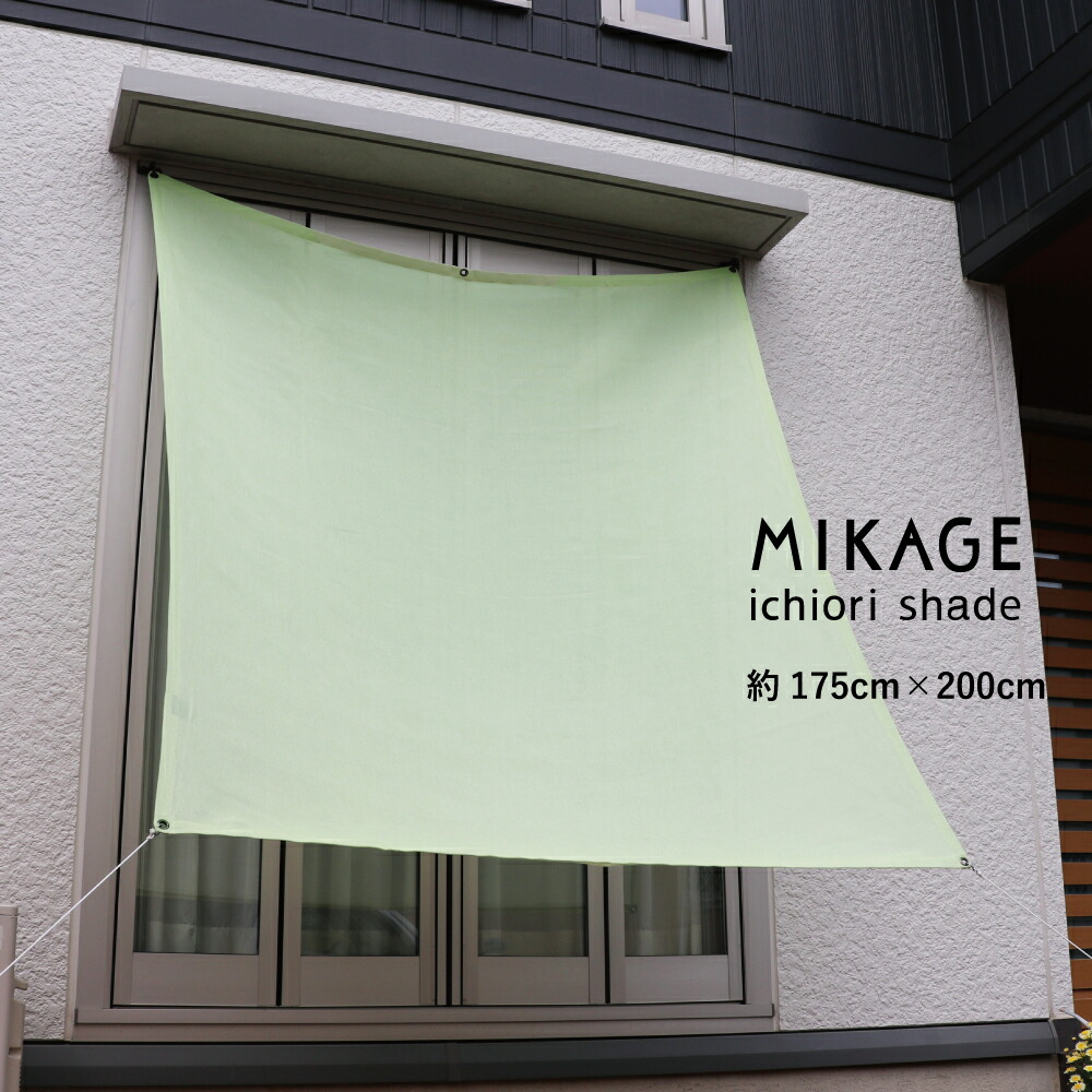 imgrc0100589952.jpg