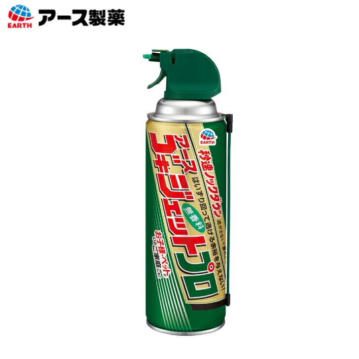 フロフキ　不老不死の薬草 佐賀の徐福さん 金立神社と徐福