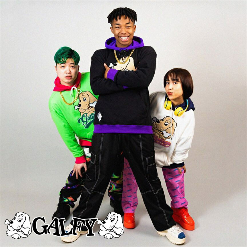 【楽天市場】GALFY 公式 チームパーカー チームGALFY パーカー 