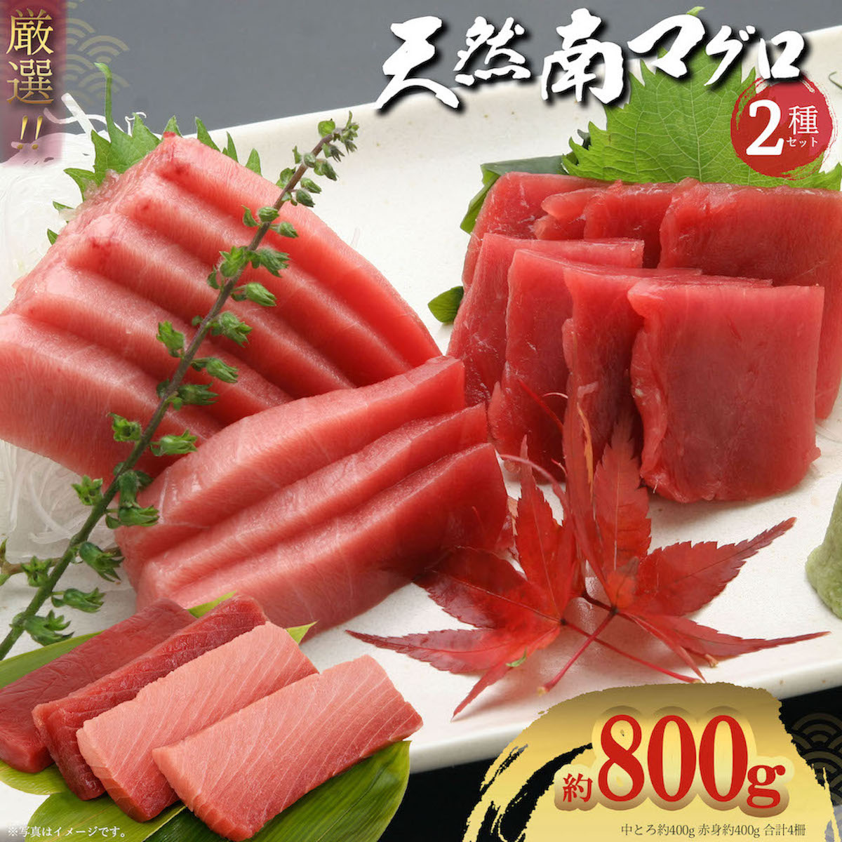 流氷南鮪 天然南マグロ 赤身 400g 中とろ 中トロ 400g 2種800gセット 豊洲直送 プロ厳選 天然マグロ ご家庭  簡単 刺身 まぐろ丼 手巻き 海鮮 お取り寄せ 贅沢 プレゼント ギフト 国産 みなみまぐろ 南鮪 8～9人前