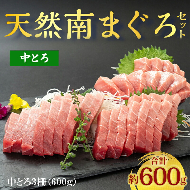 南まぐろ 高級 国産 マグロ 鮪 まぐろ 中とろ 中トロ 200g&times;3柵 600ｇ マグロ丼 海鮮丼 手巻き 寿司 厳選 プロ 豊洲 市場直送 お取り寄せ グルメ 贅沢 刺身 贈答用 贈り物 誕生日 お歳暮 6～7人前 プレゼント ギフト｜いちより　店