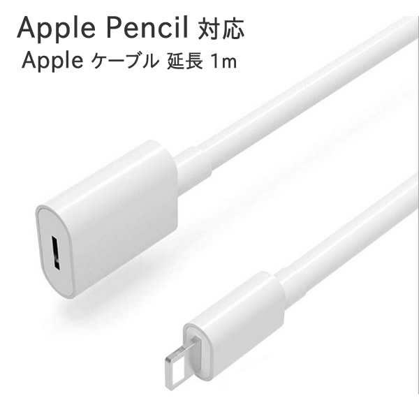 【美品】純正品　Apple Pencil   第一世代　ケーブル付き 楽天市場】APPLE Pencil(第1世代)用充電ケーブル 1.0m 全2種(USB