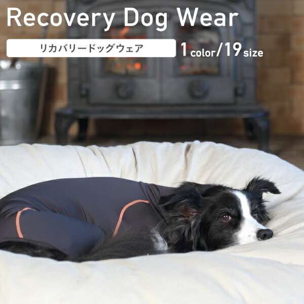 リカバリードッグウェア1XL