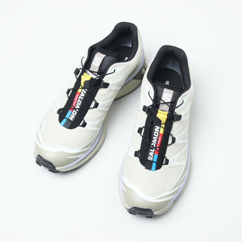 Salomon (サロモン) XT-6 GTX / EUCALYPTUS / SILVER SAGE / COSMIC SKY