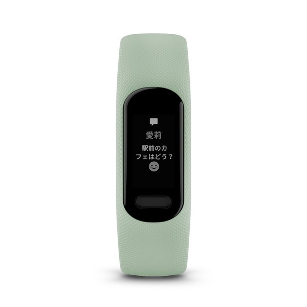 GARMIN(ガーミン)vivosmart5MintS/Mアクティビティトラッカー