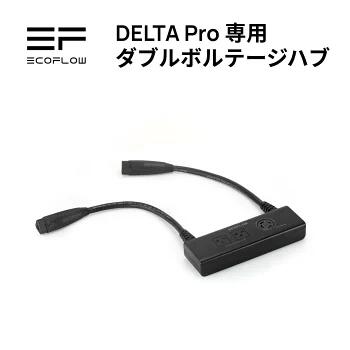 2026年 夏 おすすめ商いもの つまみ上げる