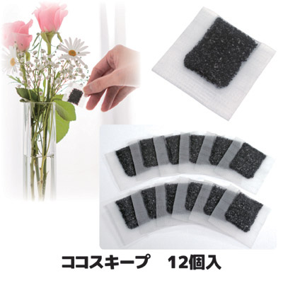 花瓶に入れるだけでお花が長持ち 切り花 微生物 抑制 イオン カビ 切花 雑菌 花瓶