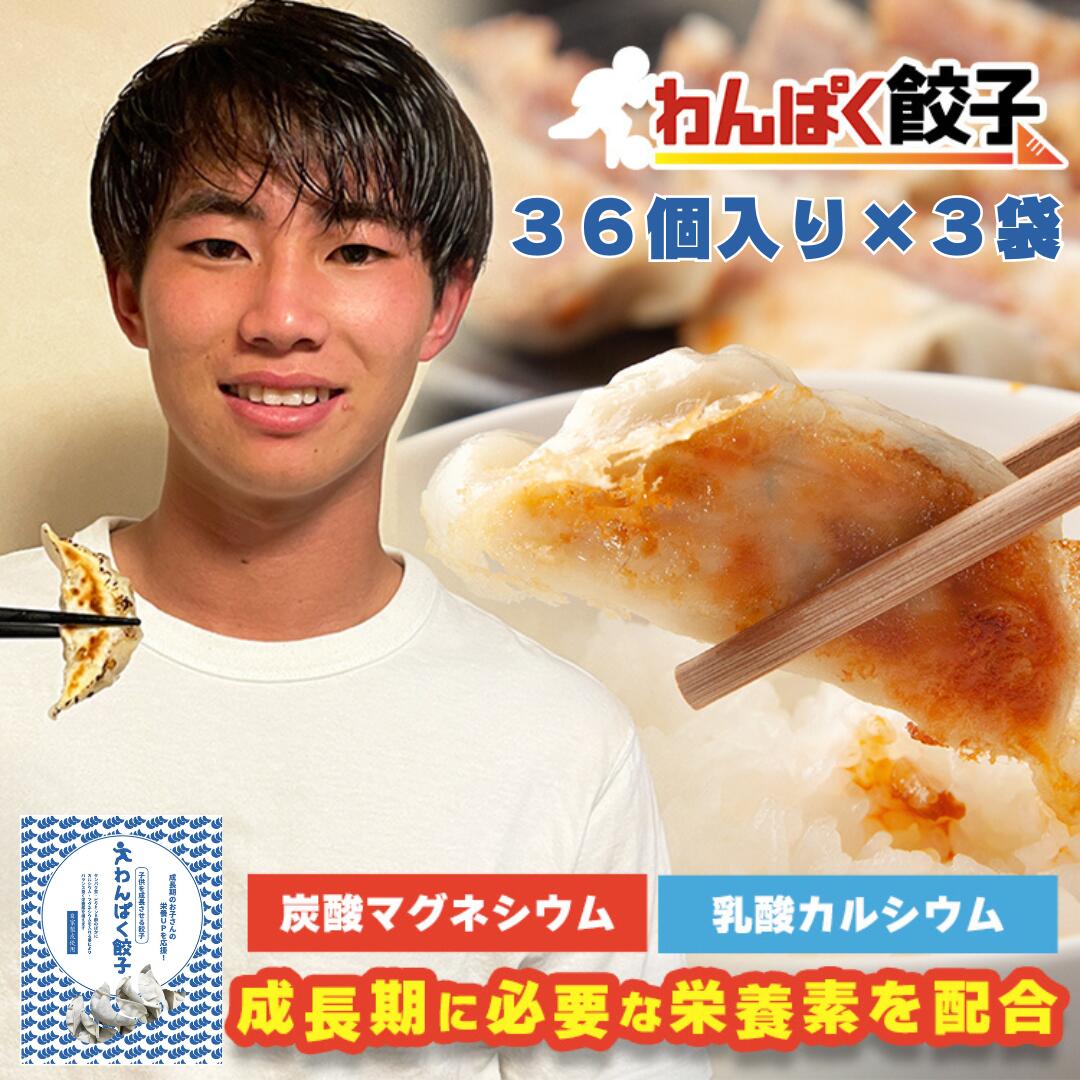 わんぱく餃子 108個 チャック袋入り (36個×3袋)  神戸餃子楼 カルシウム マグネシウム 栄養 わんぱく餃子 ジュニアアスリート シニア 補助　偏食 サプリ 体作り プロテイン 餃子 惣菜 おつまみ 冷凍餃子 送料無料