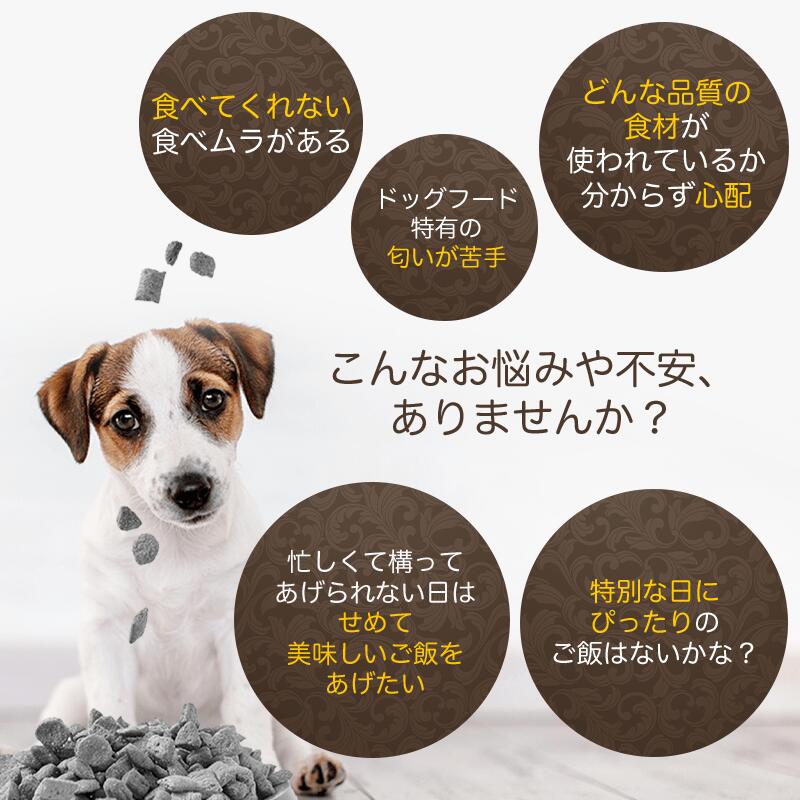 市場 犬用 おやつ はちみつと米粉のプチシフォンケーキ シフォンケーキ パン 無添加 ケーキ カップケーキ 犬 10パックセット