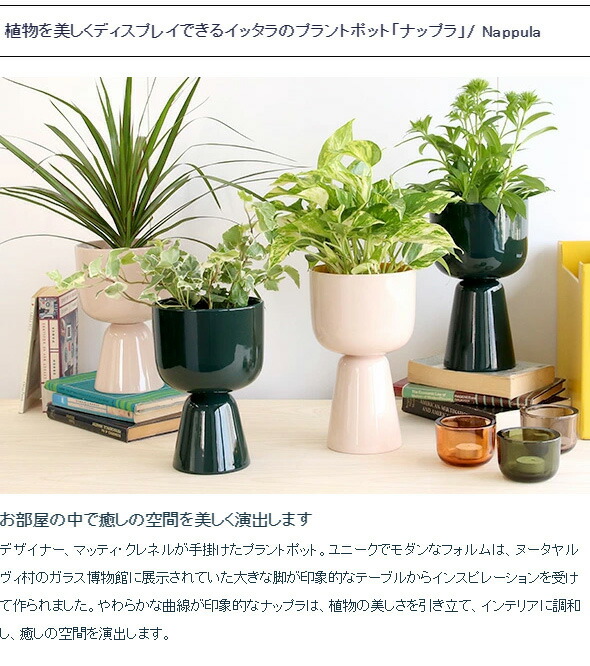 クーポン配布中】イッタラ ナップラ プラントポット 260x155mm iittala