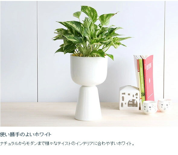 イッタラ ナップラ プラントポット 260x155mm iittala NAPPULA