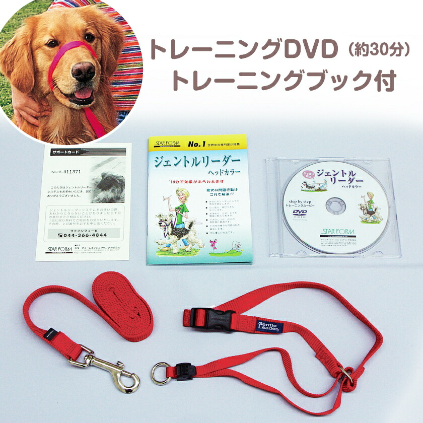 愛犬の馬鹿馬鹿しい吠え押しとどめるに！超音波で愛情を込めてしつけ。おすすめの個条をご引き合わせる