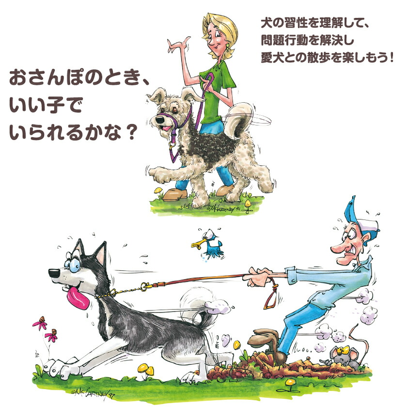 1884円 爆買い新作 犬 しつけ ジェントルリーダーの使い方がよく分かるジェントルリーダーシステム