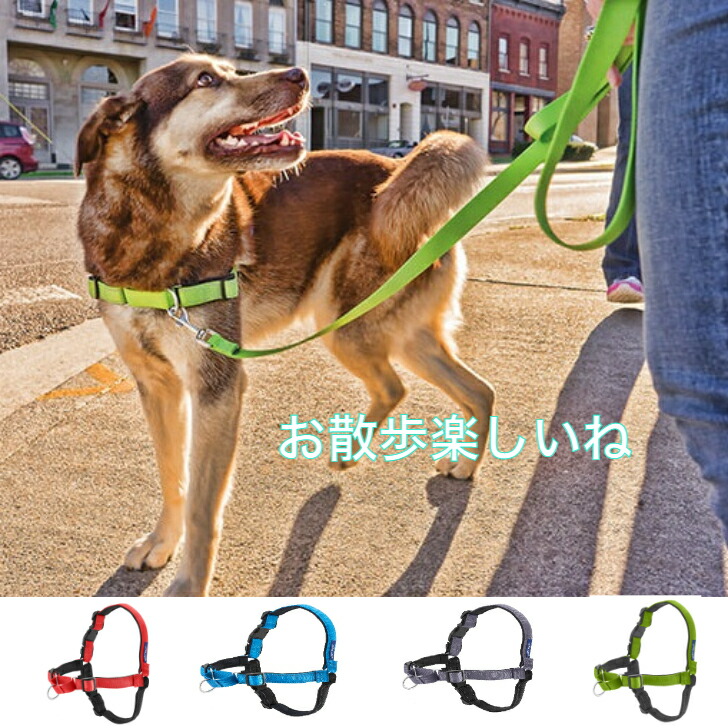 楽天市場】犬の無駄吠え防止にアボアストップ スーパーアボ プチアボ アボマックス用補充品 クリアボンベ : アイデアワールド