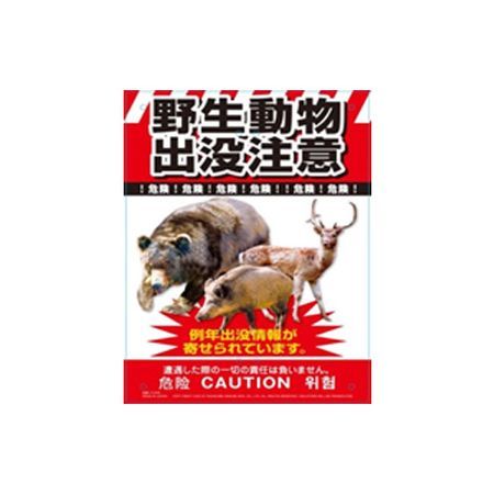 USA 森林局看板　野生動物エリア ed2905814.jpg