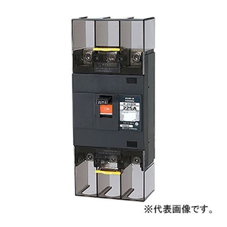 (LINEクーポン有)翌日出荷 テンパール工業 B-223EA 175A 配線用遮断器 B223EA175A｜iDECA　店