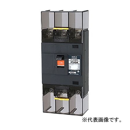 (LINEクーポン有)翌日出荷 テンパール工業 B-253EA 250A 配線用遮断器 B253EA250A