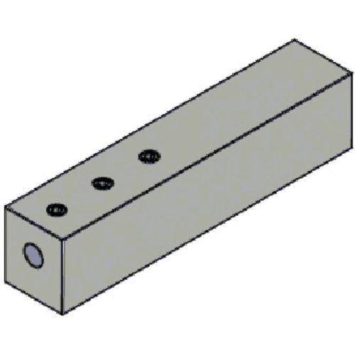 【即納在庫品】「直送」タンガロイ BLS16-10C 丸物保持具【キャンセル不可】