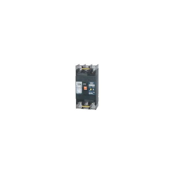 (LINEクーポン有)翌日出荷 テンパール工業 GB-123ED 125A 30MA 100-200V 漏電遮断器 GB123ED125A30MA100200V