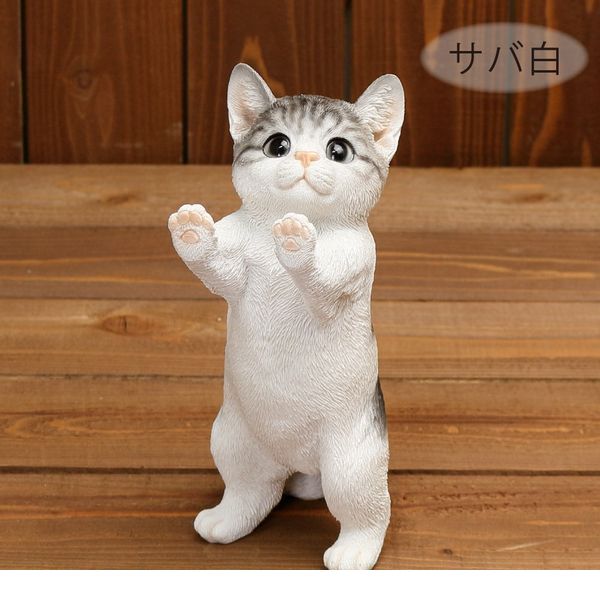 紅石 QY-81 ベニーズキャット QY81