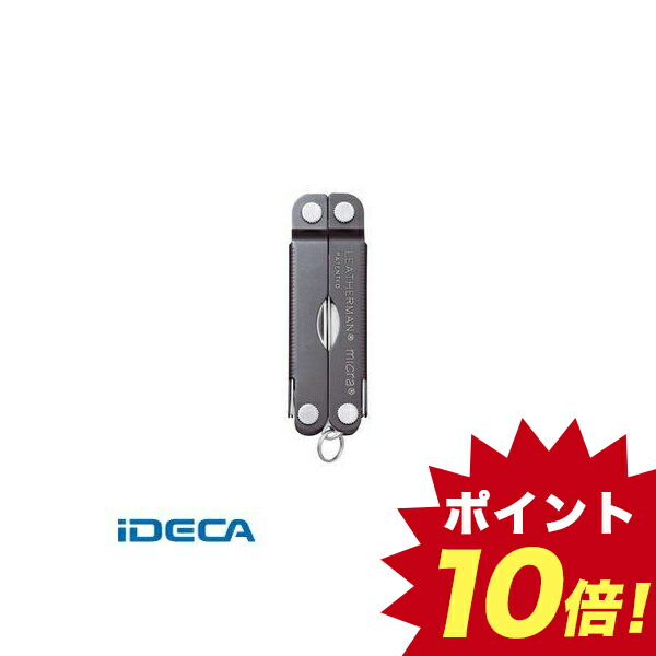 Dt マイクラ Mic Gy 楽天