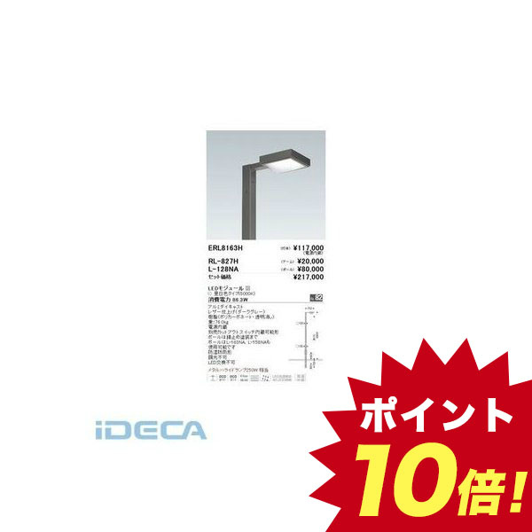 激安の 納期 約5日 Fr 屋外ローコスト高効率ポール灯 ５０００ｋ ポイント10倍 期間限定 半額以下 Gestion Etechnologies Shop