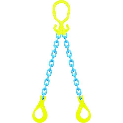 【即納在庫品】「直送」ＧｒａｂｉＱチェーンスリングセット MG2GBK6 チェーンスリングセット ＭＧ２－ＧＢＫ６ チェーン長＝２ｍ