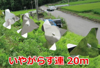 楽天市場】ハッ鳥君 防鳥糸 (500m)[ガーデニング雑貨 園芸用品 園芸 ... 楽天市場】ハッ鳥君 防鳥糸 (500m)[ガーデニング雑貨 園芸用品 園芸 ...