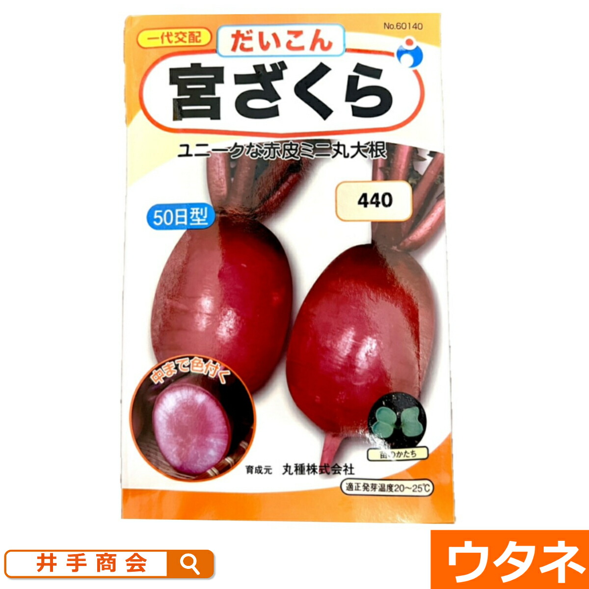 楽天市場】おでん大根 冬の浦（種）[家庭菜園 種 だいこん 大根
