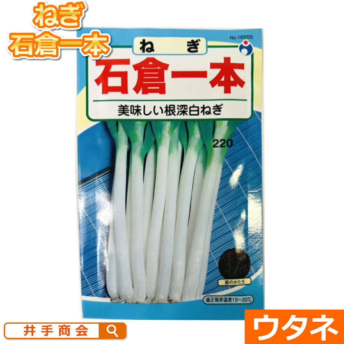 楽天市場】サッポロミドリ枝豆（えだまめ）（種:ウタネ）[えだまめ