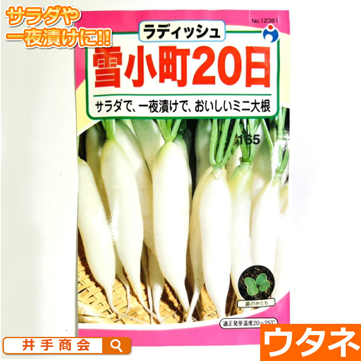 楽天市場】YRくらま大根（だいこん）（種:ウタネ）[ダイコン 家庭菜園