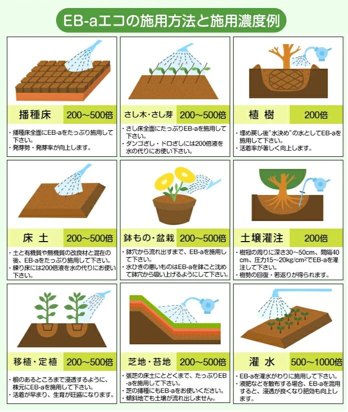 【楽天市場】土壌団粒化資材『eb Aエコ1l 』 粘土 ねんど 粘土質 排水 水はけ 保水 肥料 保肥 通気性 改善 水たまり 芝 流亡 