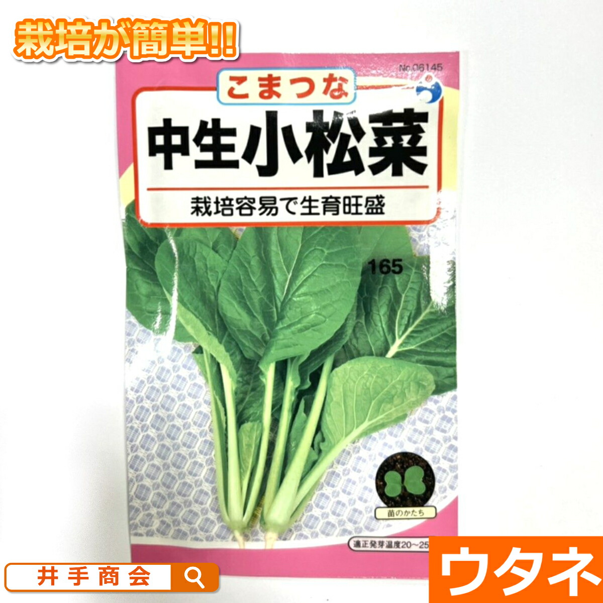 楽天市場】さくらぎ 早どり小松菜 こまつな（種:ウタネ）[こまつ