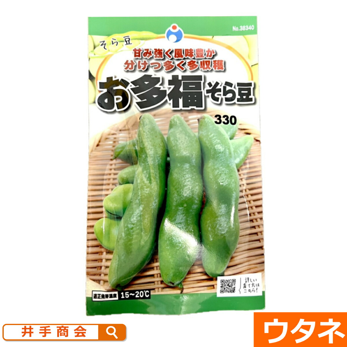 そら豆 楽天市場】一寸 そら豆 ソラマメ 空豆 蚕豆 Broad bean Fava