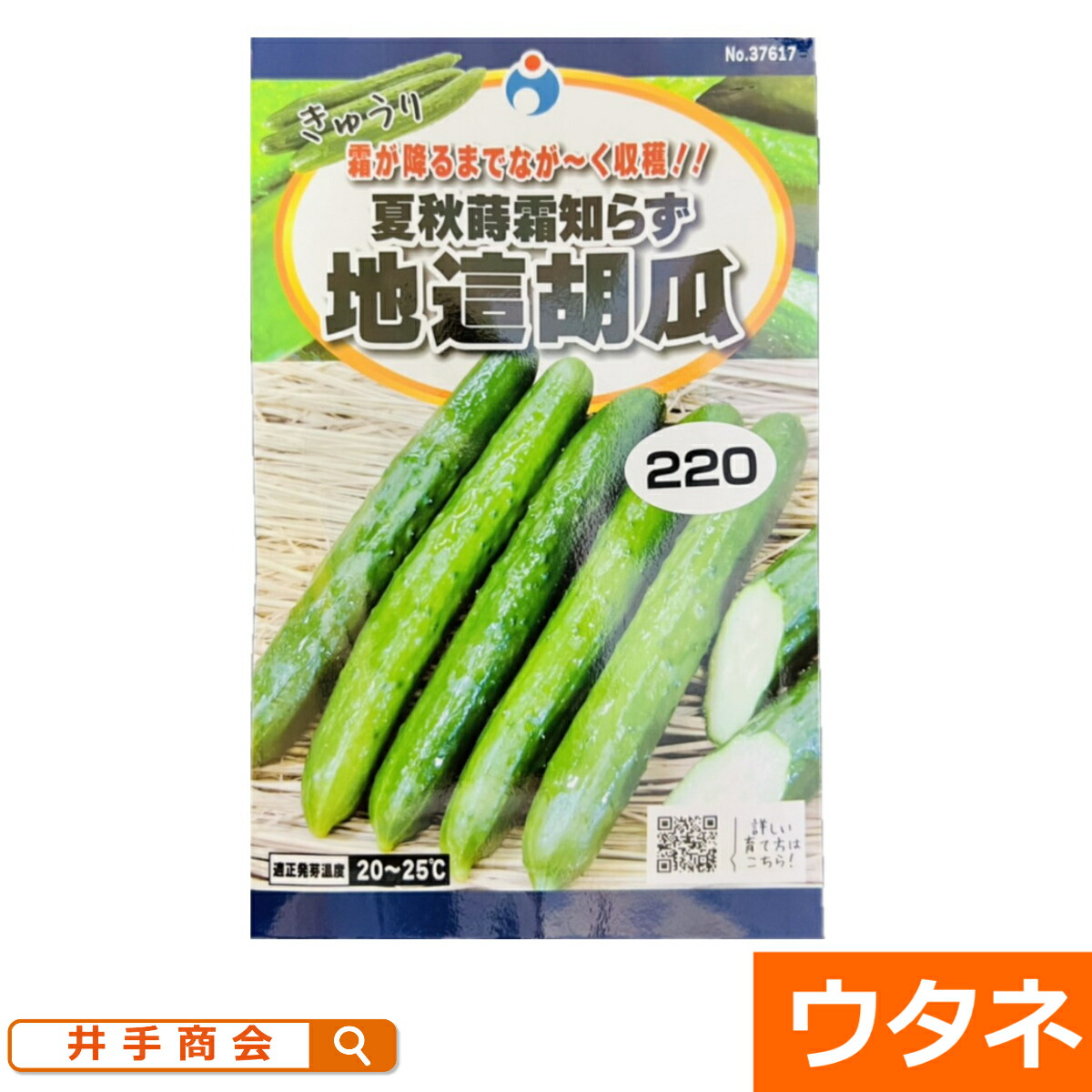 きゅうり Amazon | カネコ種苗 園芸・種 KS100シリーズ きゅうり 改良