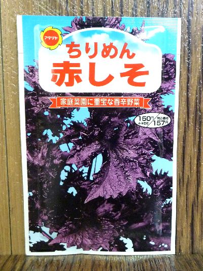 楽天市場 ちりめん赤しそ 種 アタリヤ シソ 種子 家庭菜園 種 紫蘇 プロ農業 家庭菜園のお店 井手商会