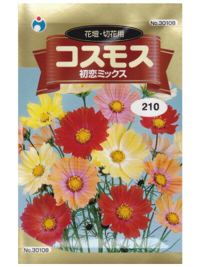 楽天市場 コスモス 初恋ミックス 種 ウタネ ガーデニング 種子 コスモス 種 園芸 プロ農業 家庭菜園のお店 井手商会