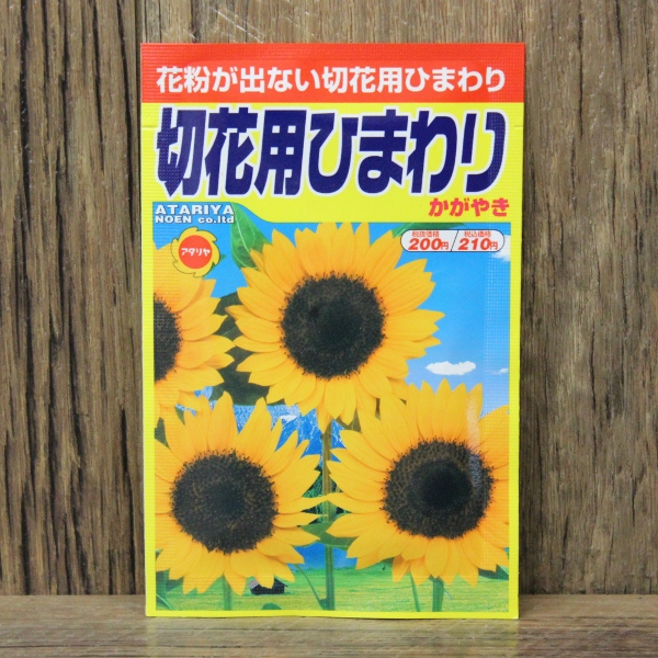 楽天市場 切花用ひまわり かがやき 種 アタリヤ ひまわり ガーデニング 種 種子 Ide Shokai Online 楽天市場店