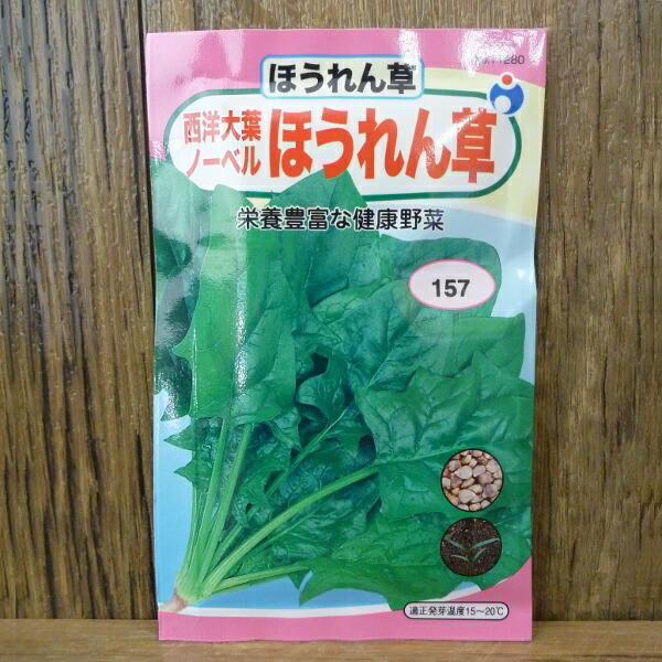 楽天市場 ノーベル西洋大葉法蓮草 ほうれん草 種 ウタネ ほうれん草 種子 種 家庭菜園 ホウレンソウ プロ農業 家庭菜園のお店 井手商会