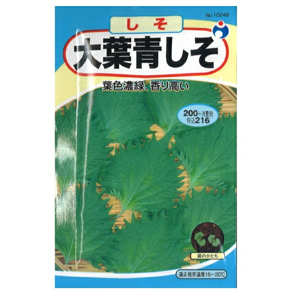 楽天市場 大葉青しそ 種 ウタネ シソ 種子 紫蘇 家庭菜園 種 プロ農業 家庭菜園のお店 井手商会
