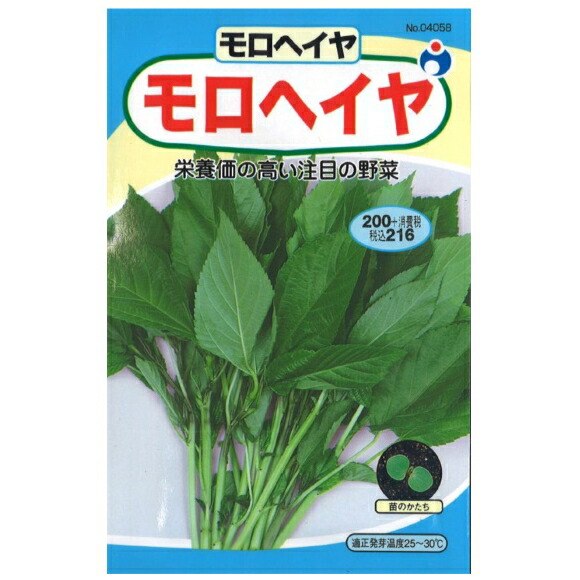 楽天市場 モロヘイヤ 種 ウタネ モロヘイヤ 種 種子 家庭菜園 プロ農業 家庭菜園のお店 井手商会