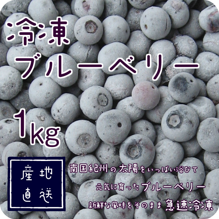 埼玉県産 冷凍ブルーベリー 6キロ+spbgp44.ru