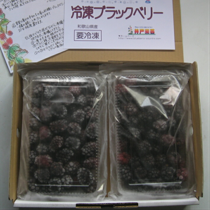 楽天市場】【KIMONO FRUITS】冷凍ブラックベリー 1000g 栄養価の高い