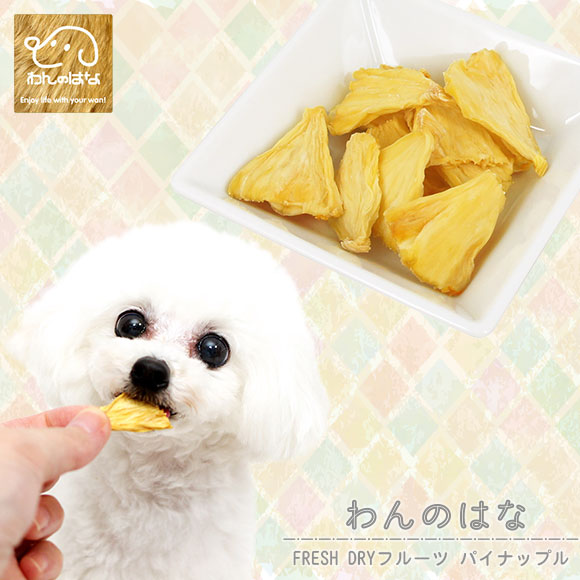 楽天市場 犬 手作り わんのはな Fresh Dryフルーツ パイナップル メール便ok 手作り おやつ ふりかけ トッピング フルーツ 果物 フリーズドライ I Dog 楽天 あす楽 翌日配送 犬の服のidog