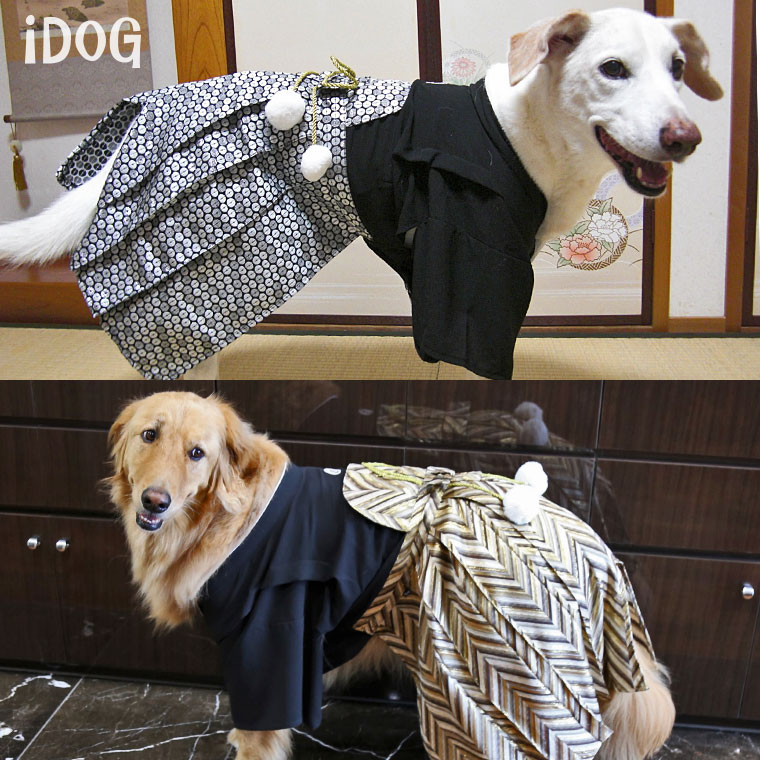 犬 服 袴 Idog 中大型犬用 愛犬用家紋付袴 アイドッグ 犬 服 犬服 犬の服 ラージ 大型犬 中型犬 おしゃれ 秋 冬 秋冬 冬用 着物 晴れ着 和服 お祝い 正装 正月 年賀状 犬用 犬用品 ペット ペット用 きもの はかま