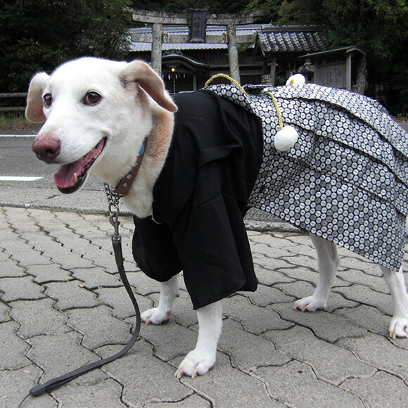 犬 服 袴 Idog 中大型犬用 愛犬用家紋付袴 アイドッグ 犬 服 犬服 犬の服 ラージ 大型犬 中型犬 おしゃれ 秋 冬 秋冬 冬用 着物 晴れ着 和服 お祝い 正装 正月 年賀状 犬用 犬用品 ペット ペット用 きもの はかま